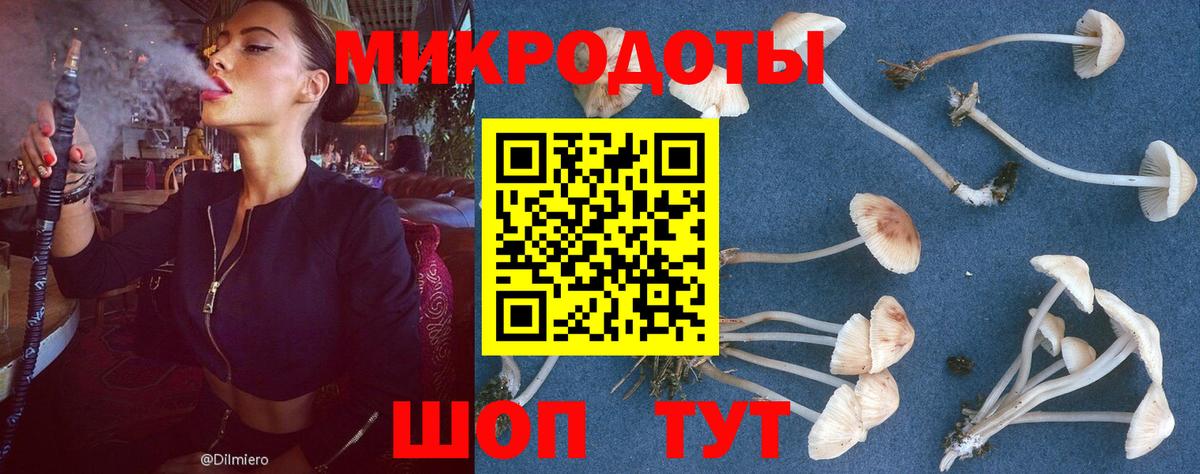 сколько стоит  Вход с VPN  Городец  Псилоцибиновые грибы MAGIC MUSHROOMS 